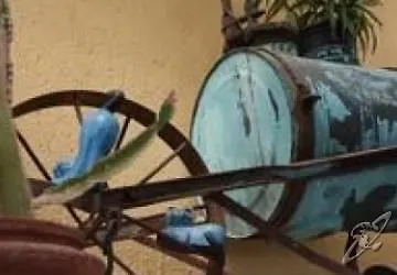 Sant'andrea 3* ISOLA D'ELBA