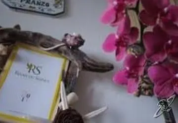 Sant'andrea 3* ISOLA D'ELBA