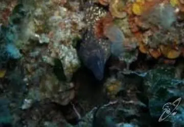 Hotel Sant'andrea 3*